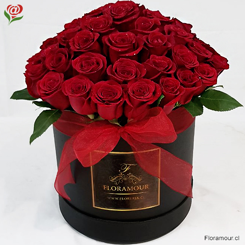 Sensacional caja redonda con 51 rosas ecuatorianas. Solo Santiago. Seleccione color:
